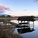 Riedlodge Bodensee-obers *